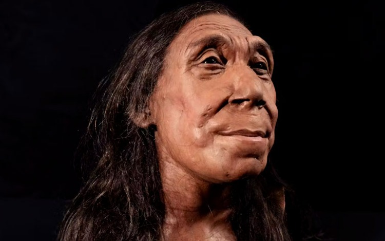 La reconstrucción del rostro de una mujer neandertal de hace 75 mil años la hace parecer simpática, pero hay un problema en su idealización