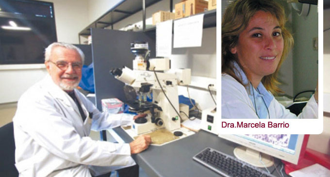 El esfuerzo de los científicos argentinos es una enorme contribución a una enfermedad, que en la última década es el centro de las investigaciones en el campo de la ciencia y la salud.