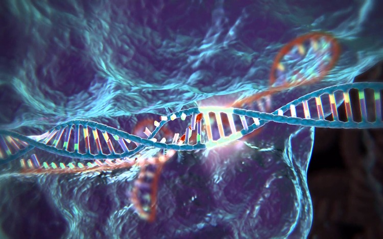 Una nueva tecnología que modifica el genoma humano, podría erradicar las enfermedades hereditarias en el futuro. ¿Estamos preparados para su uso a conciencia?