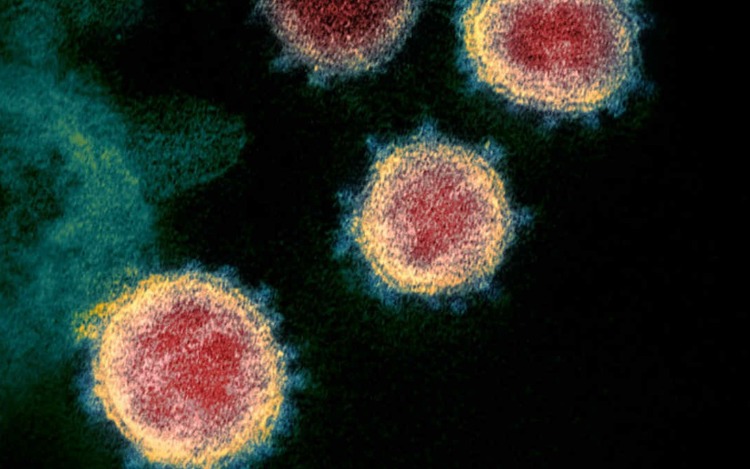 Remdesivir: Un medicamento contra el ébola que podría combatir el coronavirus COVID-19
