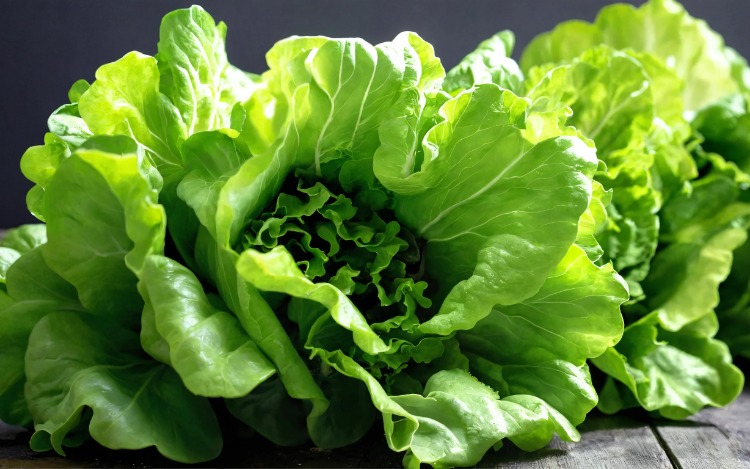 La verdura baja en calorías que promueve el buen funcionamiento renal