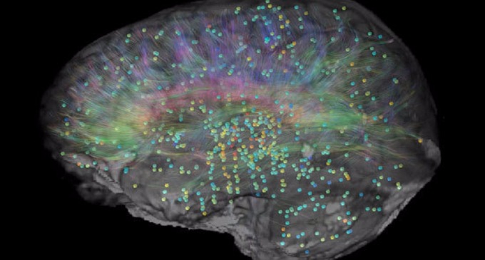 Las personas bilingües tienen más materia gris en el cerebro