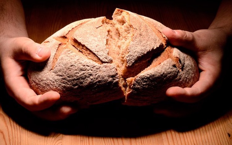 El pan de cada día