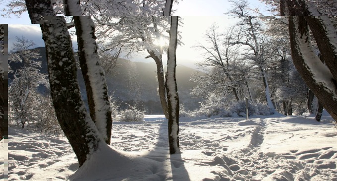 La nieve en su máxima expresión