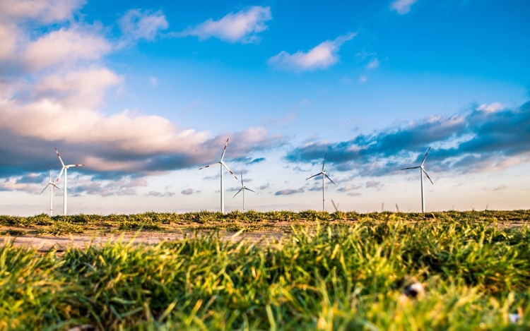 La recuperación económica será verde o no será