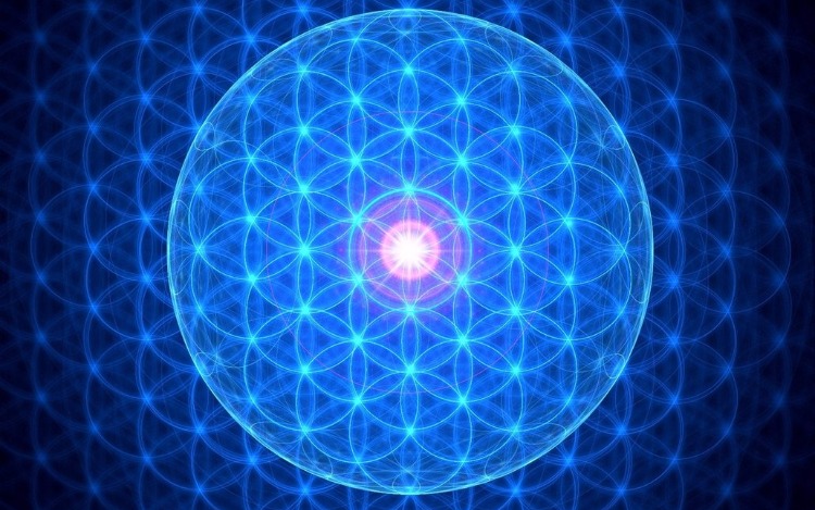 Los comienzos de la vida se forman bajo patrones de Geometría Sagrada.