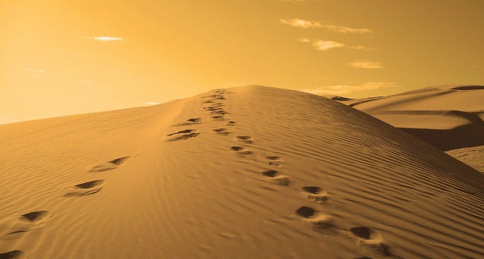 Una noche soñé que caminaba a lo largo de una playa acompañada por Dios