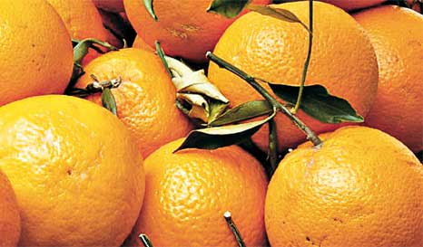 Naranjas argentinas