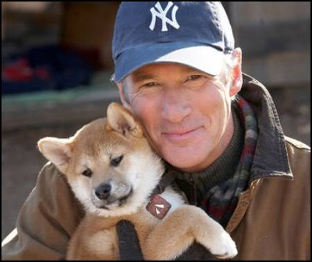 Tras la muerte de su amo, Hachiko fue regalado, sin embargo, se escapaba sistemáticamente para presentarse una vez y otra en su antiguo hogar.