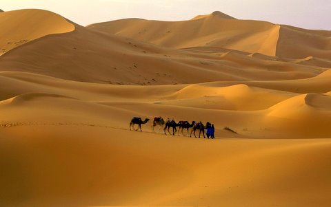 Leyendas del Desierto