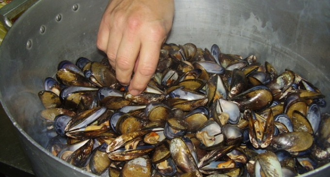 El Centro Gallego de Mar del Plata organizó un curso de gastronomía gallega, con delicias típicas y un alegre espíritu de camaradería entre los participantes