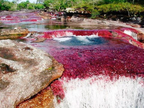 Fue la primera reserva natural nacional establecida por la ley de la República en 1948 y declarada Parque Nacional en 1971