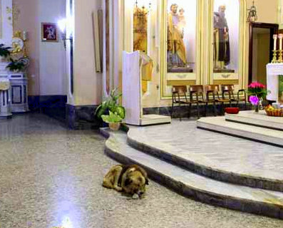 Ciccio tiene 12 años; hace dos meses, su ama falleció; ahora, la espera todos los días en la parroquia María Asunta, en San Donaci, donde solía acompañar a la mujer a misa