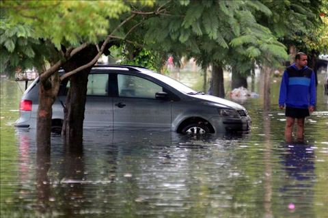 Con ojos tristes y mirada perdida, las mascotas de los miles de afectados por las inundaciones de hace dos semanas en la ciudad argentina de La Plata se asoman estos días a las redes sociales en busca de sus dueños