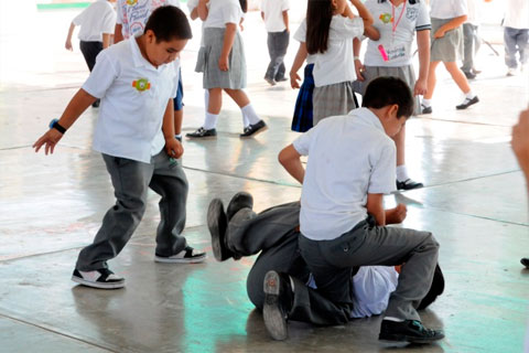 Se convirtió en ley una norma que preserva la integridad física y mental de los niños en las escuelas