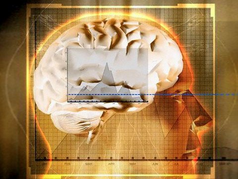 Científicos estadounidenses lograron por primera vez quitar del cerebro de roedores recuerdos no deseados relacionados con los efectos de las drogas