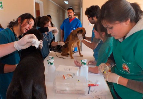 El programa de voluntariado desarrollado por la UBA comenzó en el año 2002 en el barrio Los Piletones