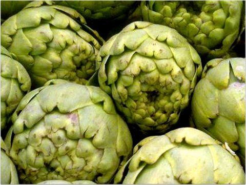 Perder peso con la alcachofa: sus propiedades para adelgazar