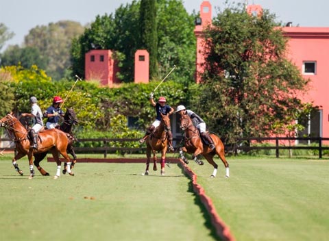 El polo de excelencia encuentra su escenario en la Argentina