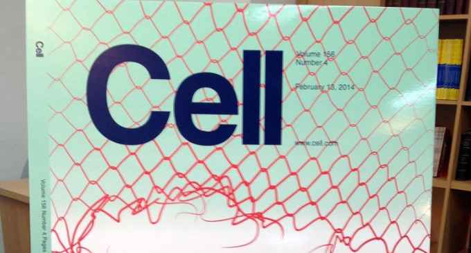 Investigadores argentinos identifican un mecanismo que permite tratar algunos tumores que hasta ahora eran resistentes a las terapias convencionales. El trabajo fue tapa de la prestigiosa revista especializada Cell. Cambia el paradigma de los tratamientos contra el cáncer.