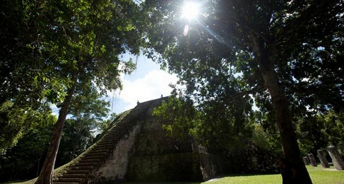 PN Tikal: Corazón del mundo maya