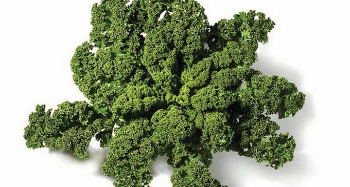 ¿Qué es el kale? Animate a probar este superalimento