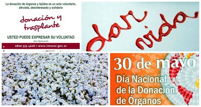 En el Día Nacional de la Donación de Órganos, diversas entidades médicas y ONG's convocan a la sociedad a distintos actos y charlas para su promoción