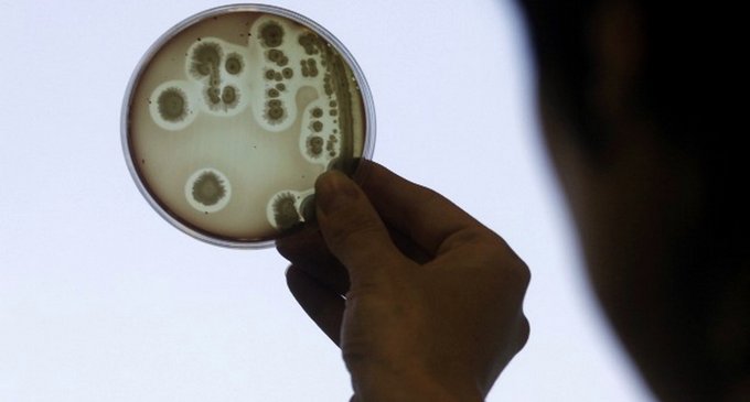 Científicos dan con la clave para vencer a las 'superbacterias' con antibióticos resistentes