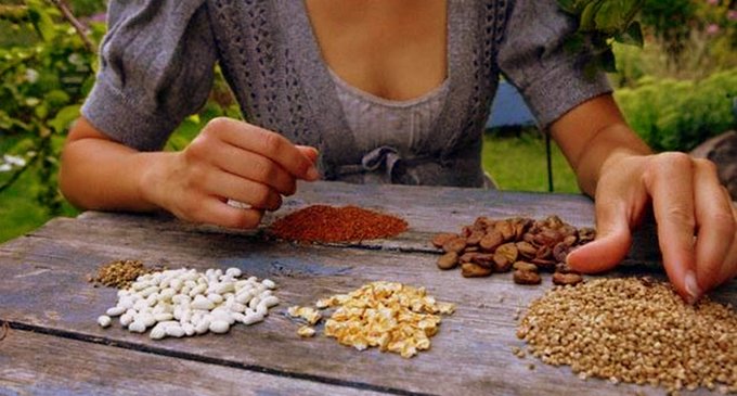 ¡Incorporá las semillas en tus comidas! Te contamos sus beneficios