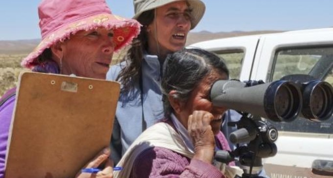 La ONU premió a Bibiana Vilá por la conservación y uso sostenible de la vicuña