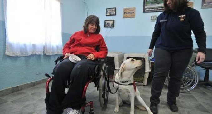 Un programa estatal que se aplica en cárceles del país permite que los internos adiestren perros de asistencia destinados a personas con discapacidad, una política pública que se convierte en un círculo virtuoso entre entrenadores y usuarios
