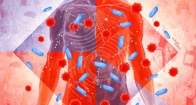 Billones de bacterias que tapizan nuestras mucosas y principalmente nuestro intestino cumplen tareas tan importantes que hasta se les otorgó el estatus de un nuevo órgano, la microbiota.