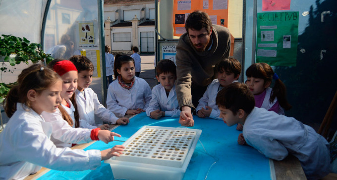 Han incentivado la creación y revalorización de los espacios verdes escolares utilizándolos como herramientas didácticas. Algunos establecimientos están experimentando con huertas de hidroponía, un sistema que permite que las plantas crezcan sin tierra.