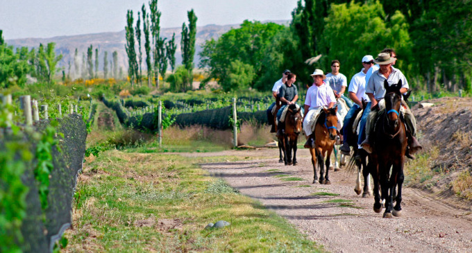 Tierra de la aventura y el buen vino - San Rafael