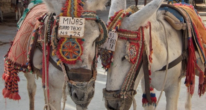 MIJAS, del burro al turismo de masas