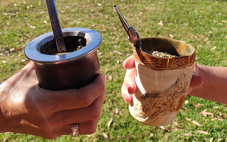 Adelgazantes, saborizadas, con hierbas... Tomar un mate dejó de ser algo sencillo. En las góndolas tenemos cada vez más opciones de yerbas para elegir, con distintos sabores y funciones. ¿Son mejores que las tradicionales? ¿Cumplen con lo que prometen?