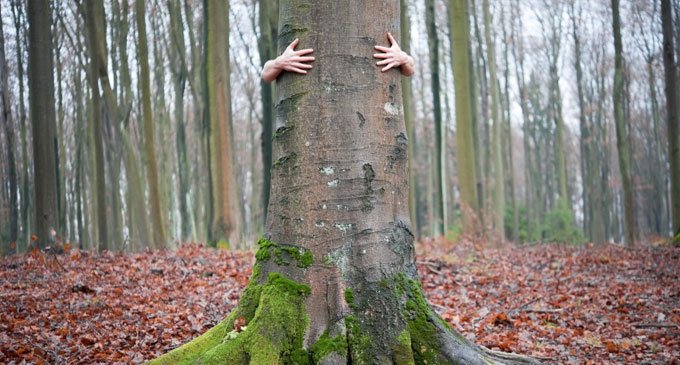 Los beneficios de abrazarse a un árbol son incontables, misteriosos pero fáciles de verificar si les prestamos atención, si los observamos y nos comunicamos con ellos mirándolos, en silencio.