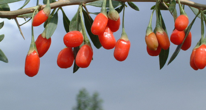 Una dieta similar a la mediterránea reduce el riesgo de Alzheimer