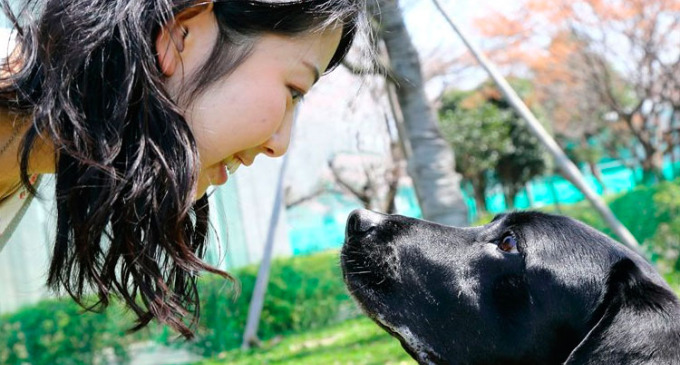 Investigadores japoneses descubrieron que cuando se miran a los ojos liberan oxitocina, una hormona vinculada con el apego