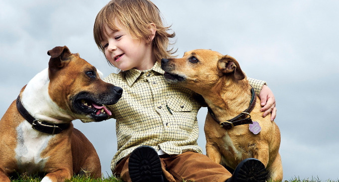 A quienes nos gustan los animales deseamos que nuestros hijos desarrollen el mismo sentimiento hacia ellos. Pero, como no se trata de juguetes sino de seres vivos, debemos enseñarles a nuestros pequeños a cuidarlos y a tratarlos con afecto.