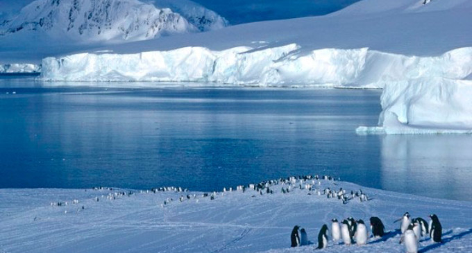 A bordo de un crucero de aventura por la Antártida, el continente sorprende con sus secretos remotos y misteriosos. Sensaciones únicas que solo se viven en este lugar del planeta despiertan los sentidos de quienes visitan esas porciones aún a descubrir de la Tierra.