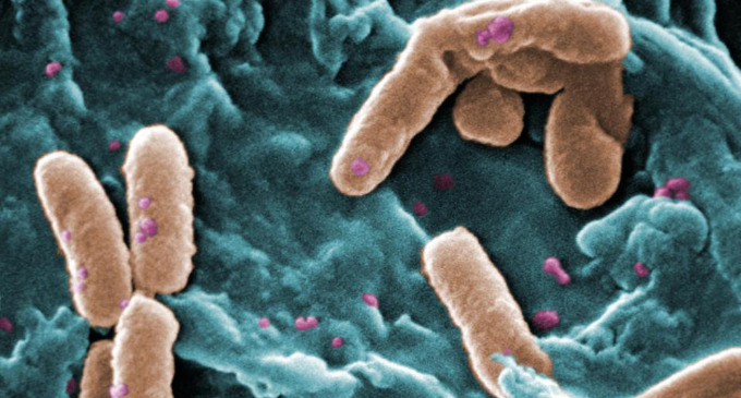 Posible final de la era de los antibióticos