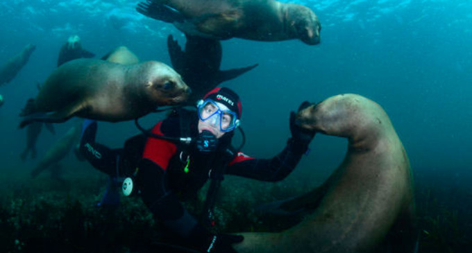 Buceo, rafting, trekking, cabalgatas, mountain bike, surf y parapente, entre otras propuestas para disfrutar de los mejores paisajes de la Argentina a pura acción.