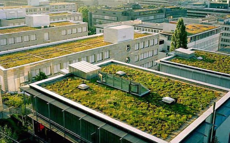 A partir de una ley, los techos de todo el país serán "verdes"