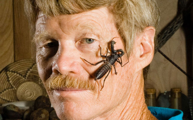 Picado por docenas de insectos para su investigación, el entomólogo Justin Schmidt se convirtió en un experto en dolor físico, relatándolo muy simpáticamente.