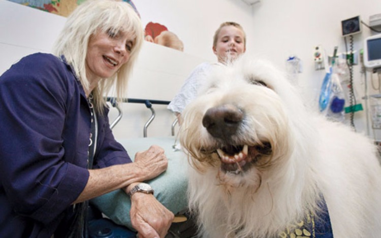 Un hospital permite que las mascotas visiten a sus compañeros humanos