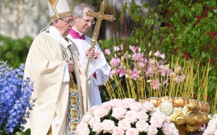 "Tú, pequeña piedra, tienes un sentido en la vida" dijo Francisco en la Misa de Pascua