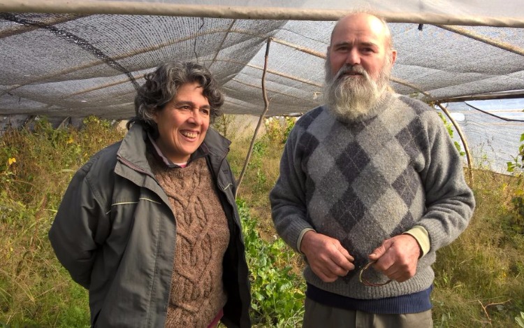 Un espacio diferente, donde la producción de vegetales no sufre el uso de los químicos. Un ejemplo de trabajo que sirve como modelo para muchos productores agrícolas.