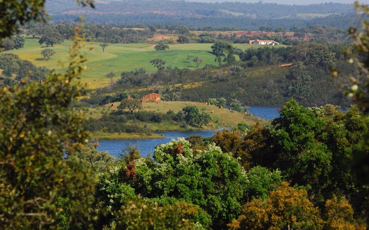 El Alentejo Portugués, uno de los 10 destinos top de Europa, reconocido por la guía Lonely Planet