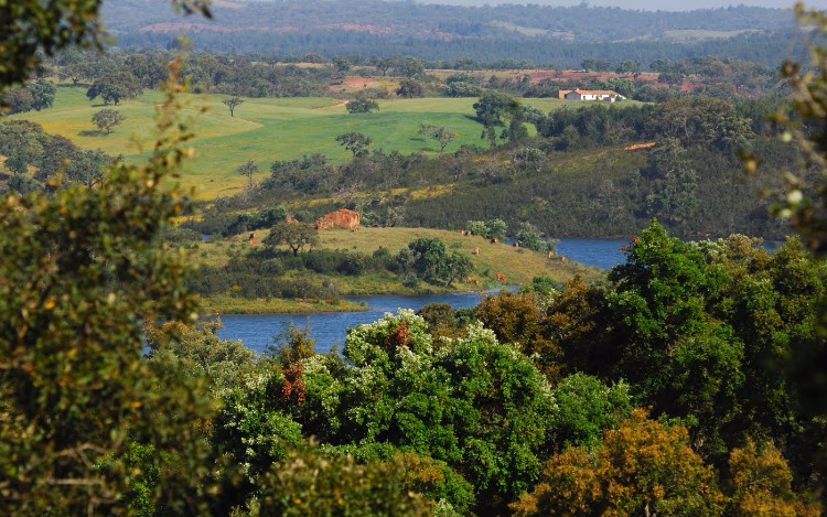 La llegada del verano boreal atraen al turismo internacional a esta hermosa región portuguesa.